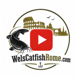 YouTube WelsCatfishRome